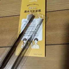 【新品未開封⠀】HARENO 奇跡の歯ブラシ 2本セット正規品のサムネイル