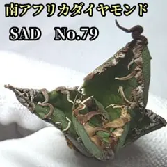 ちょぼる様 リクエスト 4点 まとめ商品