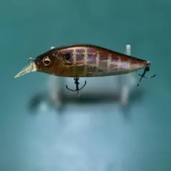 Item thumbnail for item 492a765c-5c8f-472b-8c1a-f09a3dab2ebf