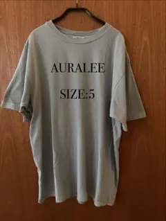 新品未使用 AURALEE オーラリー ハイゲージ コットン Tシャツ 白 2 新品未使用 AURALEE オーラリー ハイゲージ コットン Tシャツ 白 2