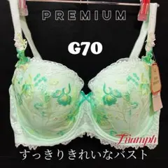 G70 トリンプ プレミアム レッドレーベル 0078 ブラジャー （ミント）