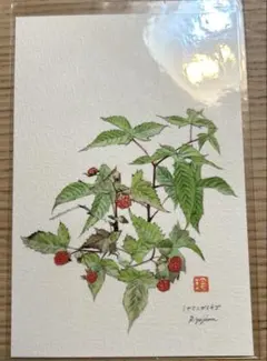 Item thumbnail for item efb43de0-90db-4510-a648-fb5eb7b3b7a7