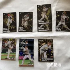 2026プロ野球チップスカード　福岡ソフトバンクホークス　９枚セット