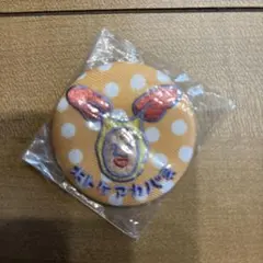 こびとづかん ファンシー刺繍缶バッチ✦ホトケアカバネ　こびと図鑑