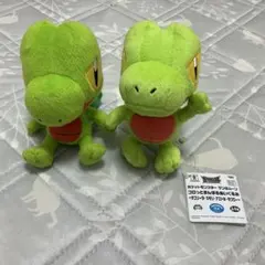 キモリ　ぬいぐるみ　2点セット　コロっとまんまるぬいぐるみ