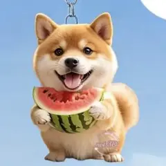 A197 可愛い 秋田犬 スイカ アクリル製 キーホルダー アクセサリー 鞄