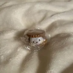 サンリオ ふにゅっと スモアサンド ポチャッコ