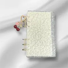 Item thumbnail for item 28f9dc9a-c8b8-45f1-b738-5f412c216931