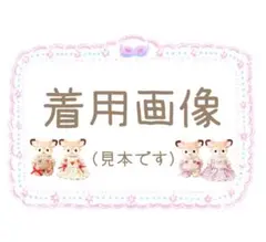 着用イメージです