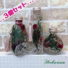 ハーバリウム(Xmas3個セット)