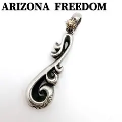 希少✨ ARIZONA FREEDOM K18 太陽神 ハートチャーム トップ - メルカリ