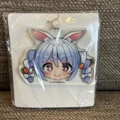 ポケコロツイン 宝鐘マリン 兎田ぺこら BIGアクリルスタンド コラボ