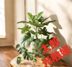 ちゃな様 リクエスト 3点 まとめ商品