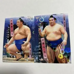 Item thumbnail for item 5bd6635c-49d4-492b-ab74-98d56a49003c