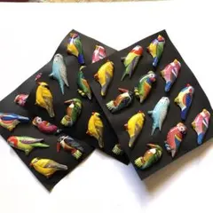 黒台紙付き小鳥バッジ12個付き✖️3枚 数量限定おまとめ販売　匿名配送