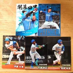 プロ野球チップス2025 日本ハムファイターズ カード5枚セット