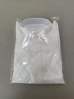 THE TREAT DRESSING シャツ