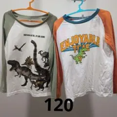 恐竜プリント長袖カットソー 120　2枚セット