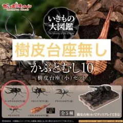 いきもの大図鑑 かぶとむし10 コーカサスオオカブト（改）