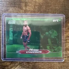 Item thumbnail for item 89c09fdf-b3f0-4024-8610-479a872f79ff