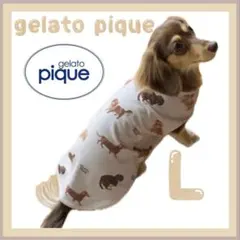 2025年最新】ジェラートピケダックスフンドの人気アイテム