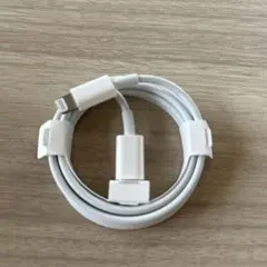 iPhone/iPad用ホワイトライトニングケーブル