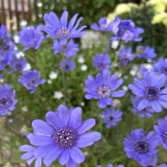 うさレレ様 リクエスト 3点 まとめ商品