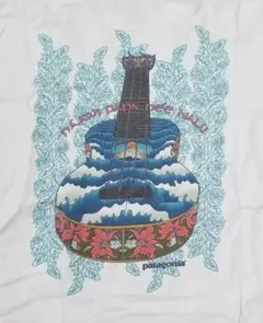 超希少 90s patagonia ハレイワT-shirt　サイズL相当