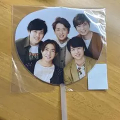 THIS IS ARASHI 2020 ミニうちわ