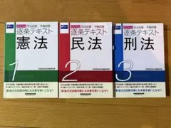 2026年最新】逐条テキストの人気アイテム - メルカリ