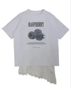 アメリTシャツのサムネイル