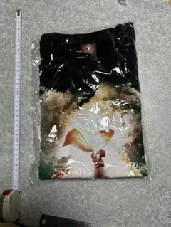 Item thumbnail for item be9a146e-bdb3-4b4f-ba72-3b45b394a773