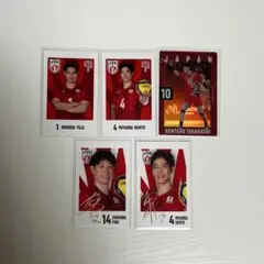 日本代表　バレーボール　チェキ　まとめ売り