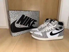 ジョーダン10