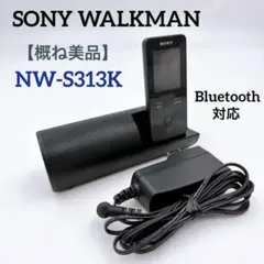 2026年最新】SONY ソニー NW-S313Kの人気アイテム - メルカリ