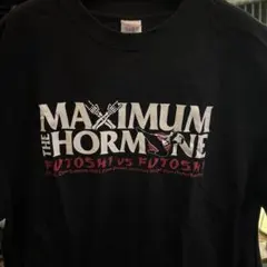 マキシマムザホルモン ミュージシャン