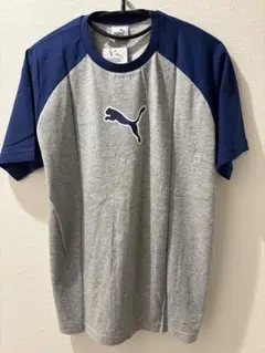 Item thumbnail for item 3170b214-7161-4810-8c9b-0eee3d912751