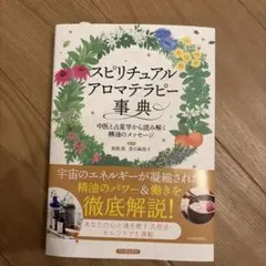 2026年最新】スピリットとアロマテラピ-: 東洋医学の視点から、感情と