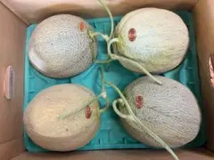 5箱限定特価】北海道産夕張メロン個選品5玉8kg箱 1玉1.6kg前後 - メルカリ