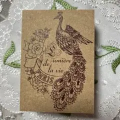 Item thumbnail for item 62d722d0-c64c-4eaf-84ea-00499b76ec31