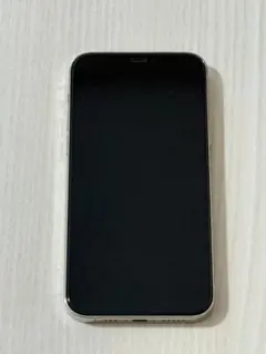 【美品】iPhone 12 Pro 256GB SIMフリー バッテリー93%