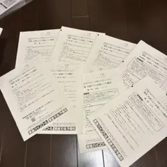 【解答なし】2024年度東進 最終共通テスト本番レベル模試 問題冊子セットのサムネイル