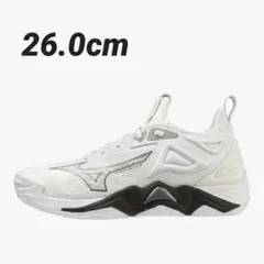 セール中☆MIZUNO WAVE MOMENTUM 3 バレーボールシューズ