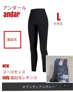 アンダール andar NEW ユーロセンス Italy 裏起毛レギンス L