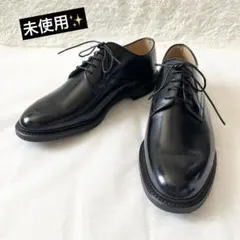 未使用✨リーガル ドレスシューズ ビジネス プレーントゥ メンズ レザー