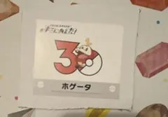 ポケモン キミにあえた！ ステッカー　ホゲータのサムネイル