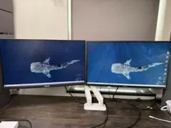 ASUS ゲーミングモニター 165Hz 0.5ms 24.5inch