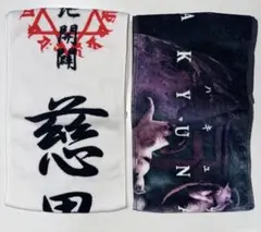 真天地開闢集団-ジグザグ ツアーグッズ(Tシャツ、タオル、シール