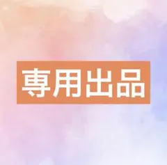 専用出品