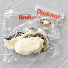 Dodomi 牡蠣 スクイーズ ミニ牡蠣付き　セット